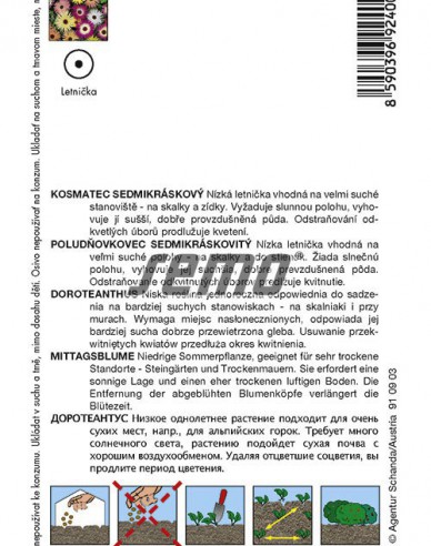 Semo Poludňovkovec sedmikráskovitý ´Zmes´