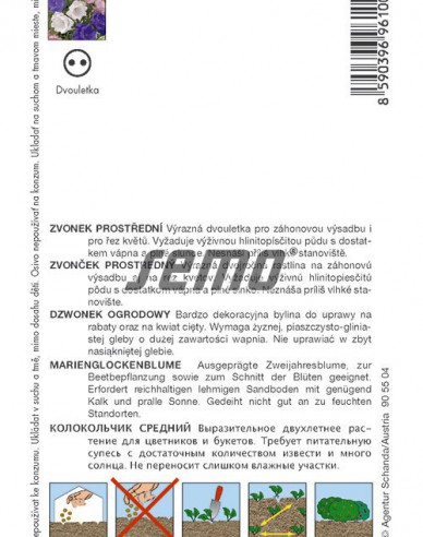 Semo Zvonček prostredný ´Cup and Saucers Mix´
