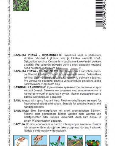 Semo Bazalka pravá škoricová ´Cinamonette´