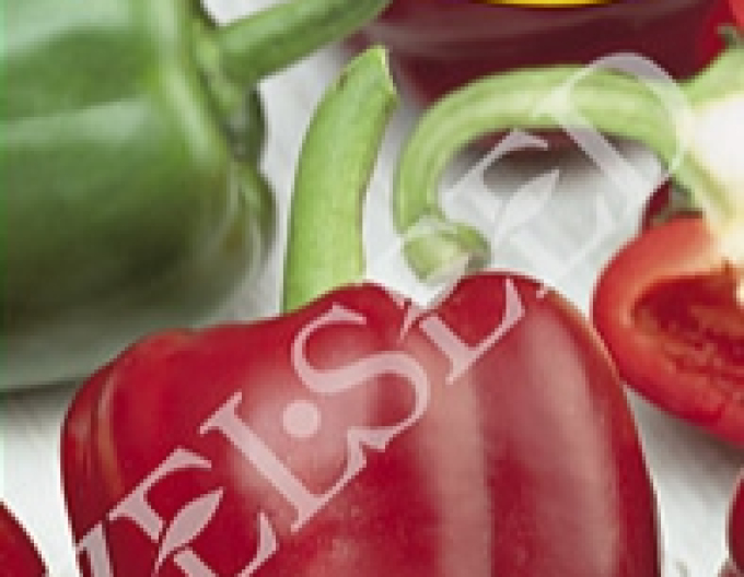 Zelseed Paprika sladká na rýchlenie ´Jorga F1´