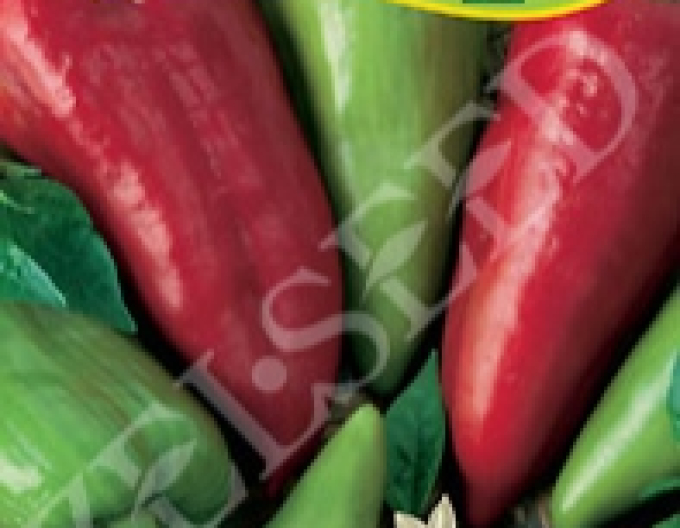 Zelseed Paprika ročná ´Bojanka´