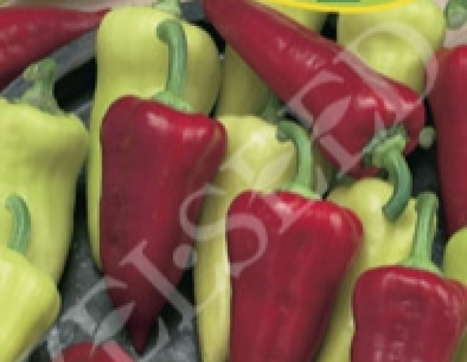Zelseed Paprika ročná ´Viki Zel´
