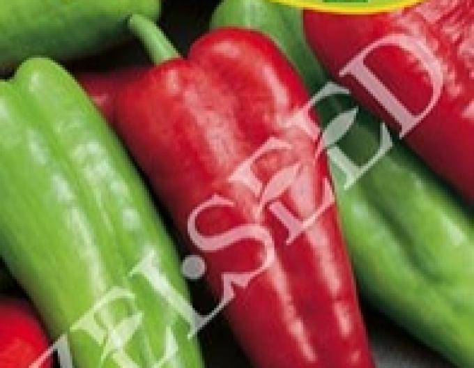 Zelseed Paprika ročná ´Derma´