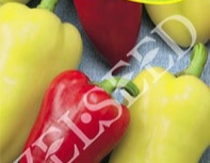 Zelseed Paprika ročná ´Tosinka´