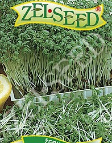 Zelseed Žerucha siata ´Dánska´