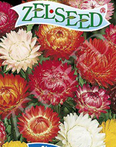 Zelseed Slamienka vysoká  ´Zmes´