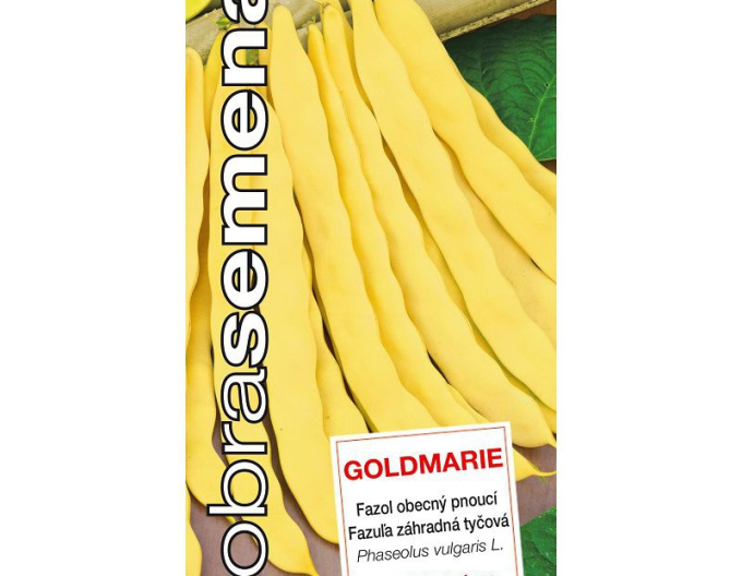 Dobrá semena Fazuľa záhradná tyčová ´Goldmarie´