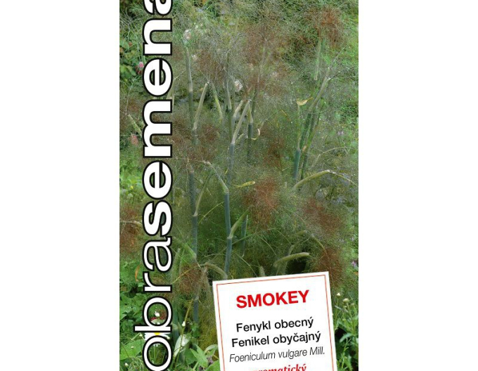 Dobrá semena Fenikel obyčajný ´Smokey´