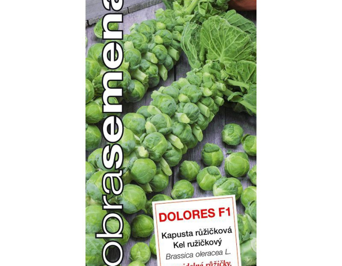 Dobrá semena Kel ružičkový ´Dolores F1´