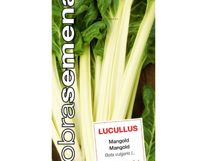 Dobrá semena Mangold ´Lucullus´