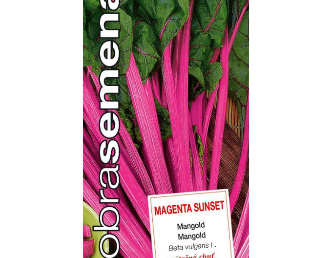 Dobrá semena Mangold ´Magenta Sunset´