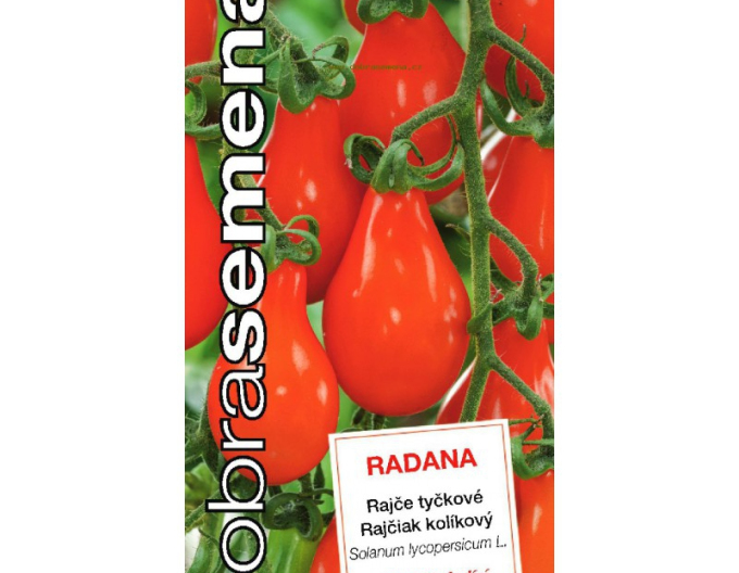 Dobrá semena Rajčiak kolíkový ´Radana´