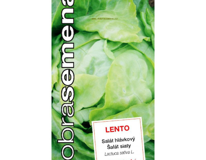 Dobrá semena Šalát hlávkový ´Lento´