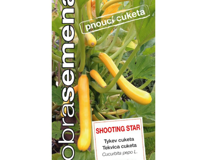 Dobrá semena Tekvica cuketa ťahavá  ´Shooting Star´