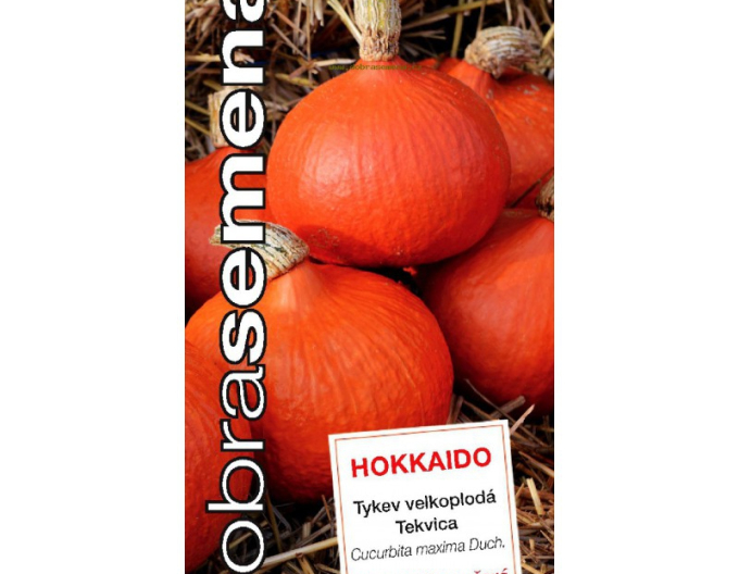Dobrá semena Tekvica obrovská ´Hokkaido´