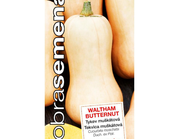 Dobrá semena Tekvica muškátová ´Butternut Waltham´