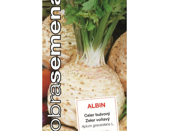 Dobrá semena Zeler buľvový ´Albin´