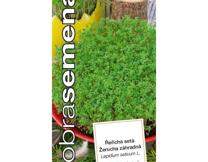 Dobrá semena Žerucha záhradná