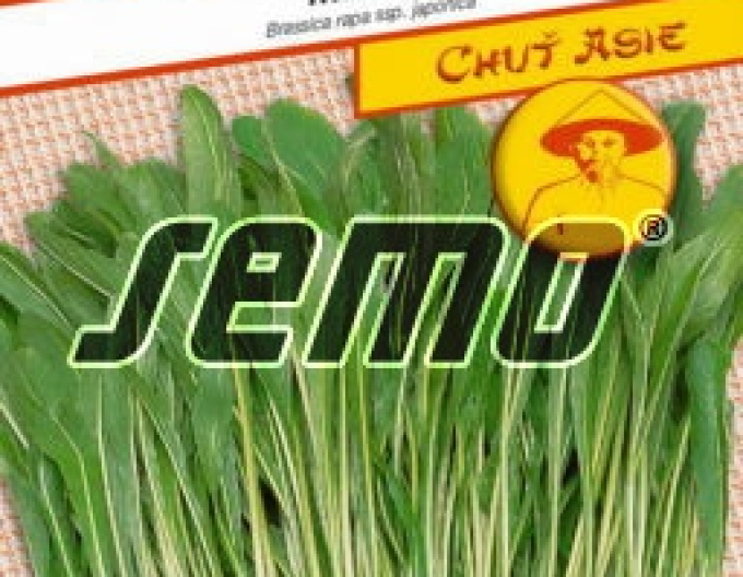 Semo Šalát ´Mibuna´
