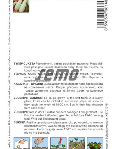 Semo Tekvica cuketa  ´Bětka F1´