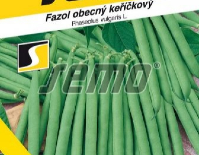 Semo Fazuľa záhradná kríčkovitá ´Bona´