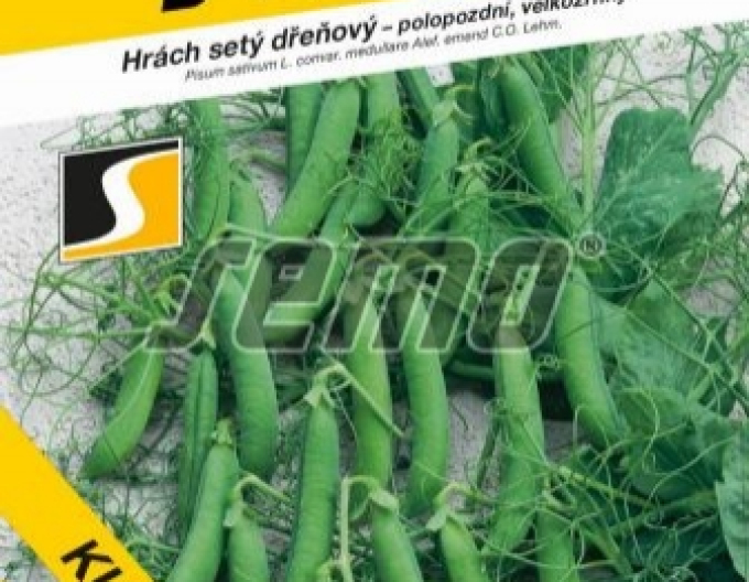 Semo Hrach siaty pravý ´Kudrnáč´