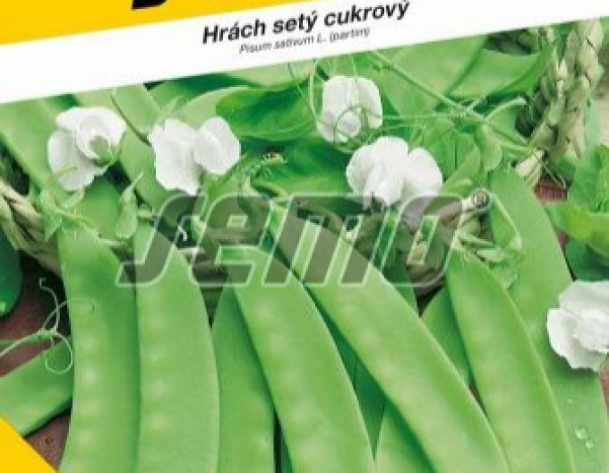 Semo Hrach siaty cukrový ´Ambrosia´