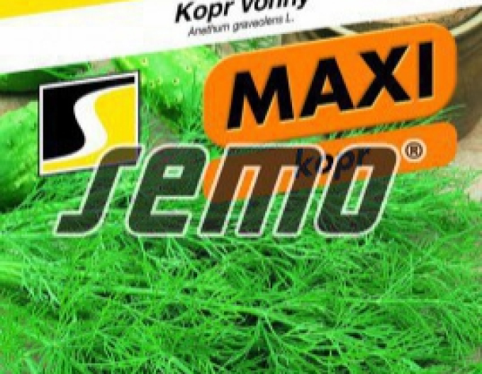 Semo Kôpor voňavý ´Mamut´