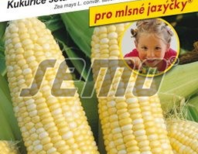 Semo Kukurica siata cukrová ´Ramondia F1´