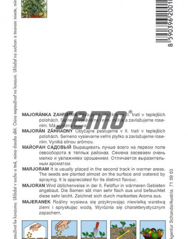 Semo Majorán záhradný ´Marietta´