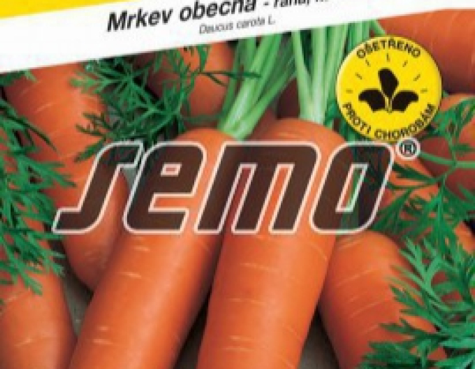 Semo Mrkva obyčajná ´Nantes 5´