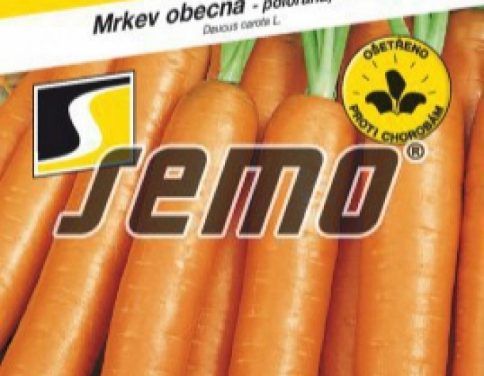 Semo Mrkva obyčajná ´Karotina´