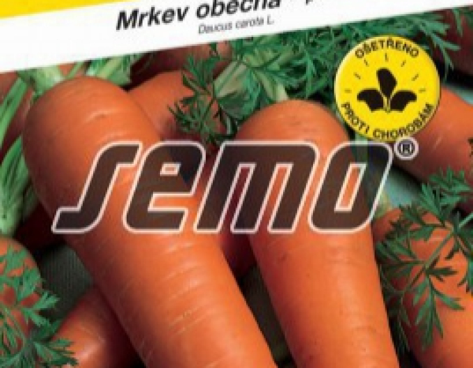 Semo Mrkva obyčajná ´Rubína´
