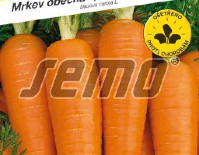 Semo Mrkva obyčajná ´Kardila´