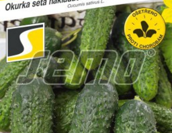 Semo Uhorka siata nakladačka ´Anya F1´