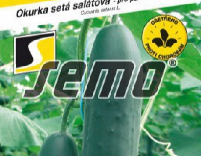 Semo Uhorka siata šalátová ´Markyza F1´