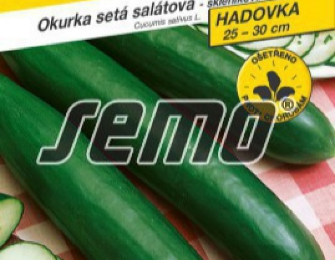 Semo Uhorka siata šalátová ´Saladin F1´