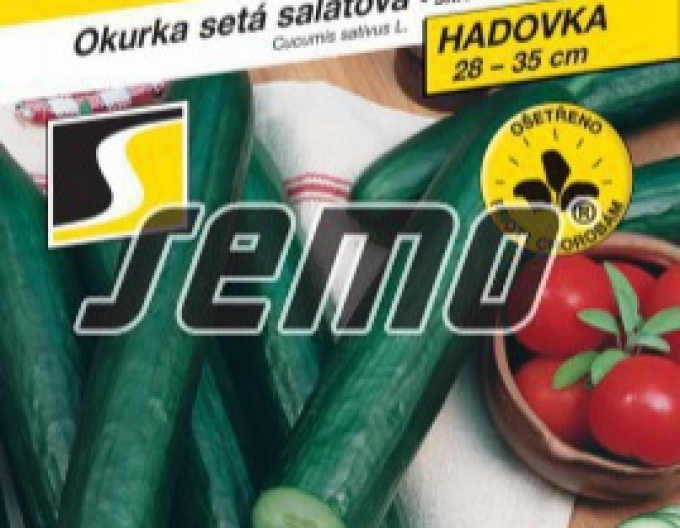 Semo Uhorka siata šalátová ´Tribute F1´