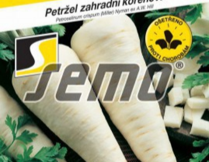 Semo Petržlen záhradný - koreňový ´Hanácká´