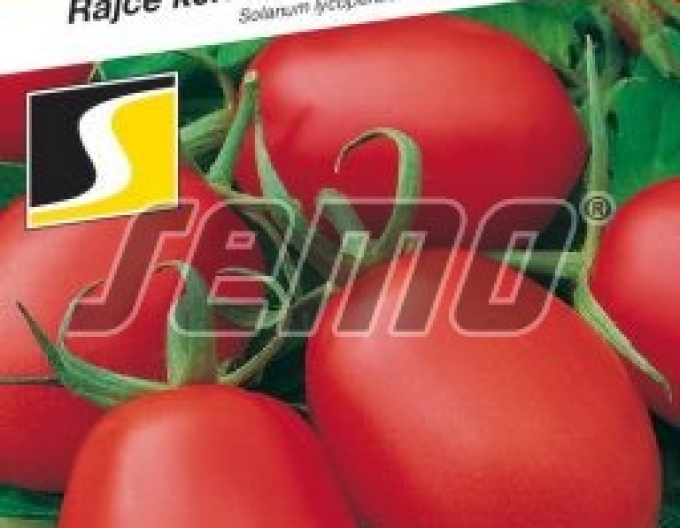 Semo Rajčiak Kríčkový ´Denár´