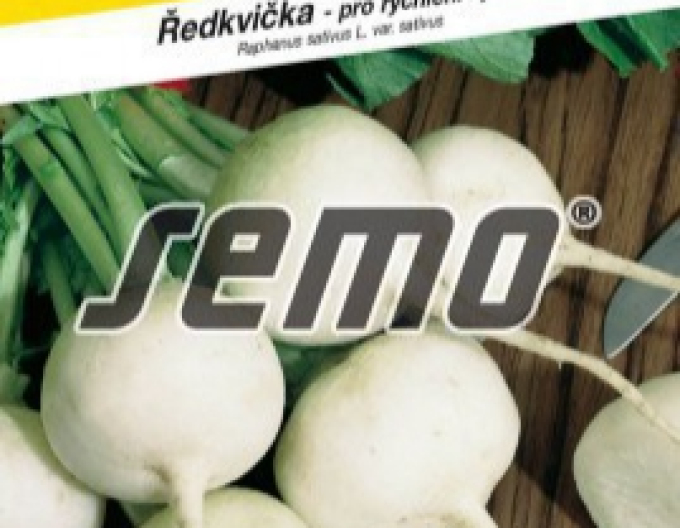 Semo Reďkovka biela ´Blanka´