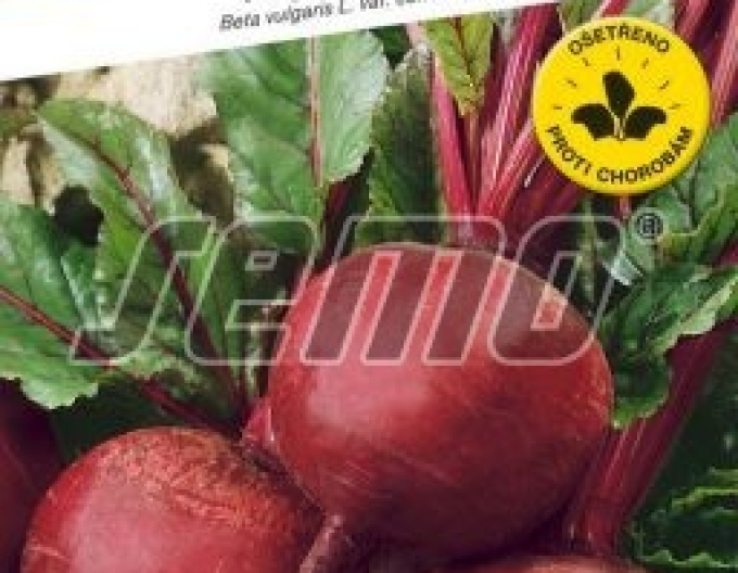 Semo Cvikla ´Bikores´