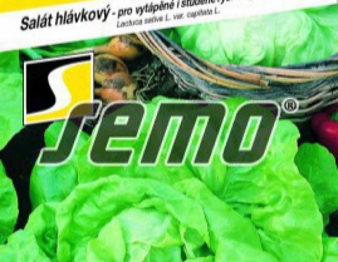 Semo Šalát na rýchlenie ´Neferin´