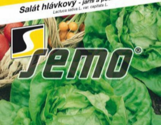 Semo Šalát jarný ´Major´