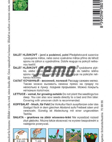 Semo Šalát jarný ´Major´