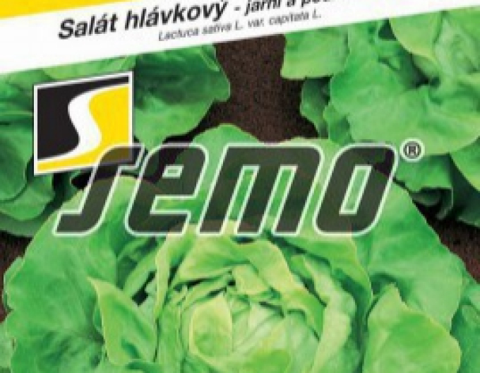Semo Šalát hlávkový ´Deon´