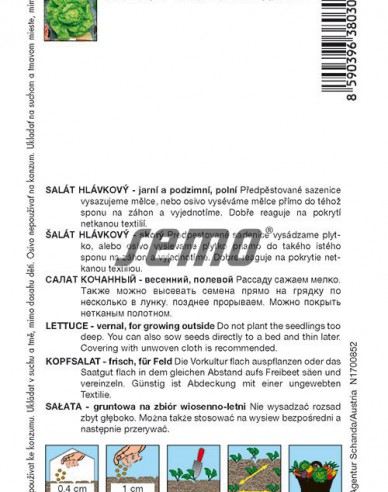 Semo Šalát hlávkový ´Faraon´