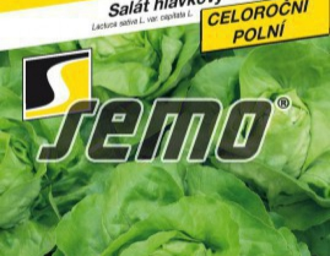 Semo Šalát hlávkový ´Merkurion´