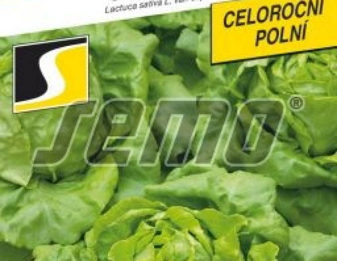 Semo Šalát hlávkový ´Saturion´