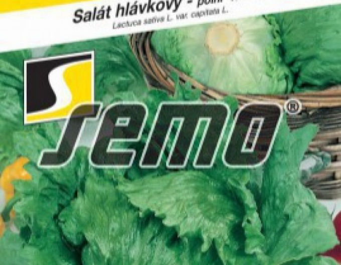Semo Šalát letný ´Maximo´
